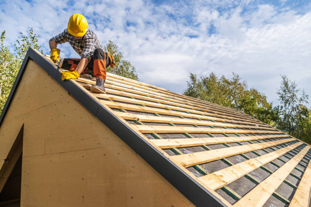 Roof Gutter Cleaning in Homer Glen, IL