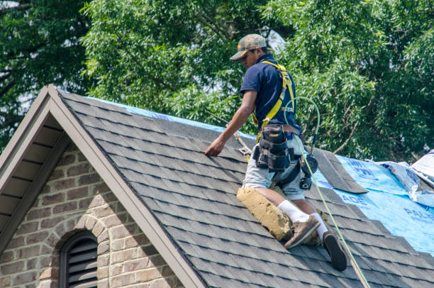 Best Commercial Roofing Services  in Homer Glen, IL